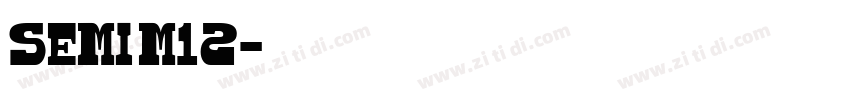 SEMI M12字体转换 SEMI M12字体转换